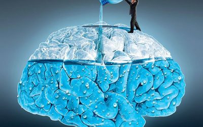 Besoins physiologiques : les bienfaits de l’eau sur les apprentissages et la gestion du stress !
