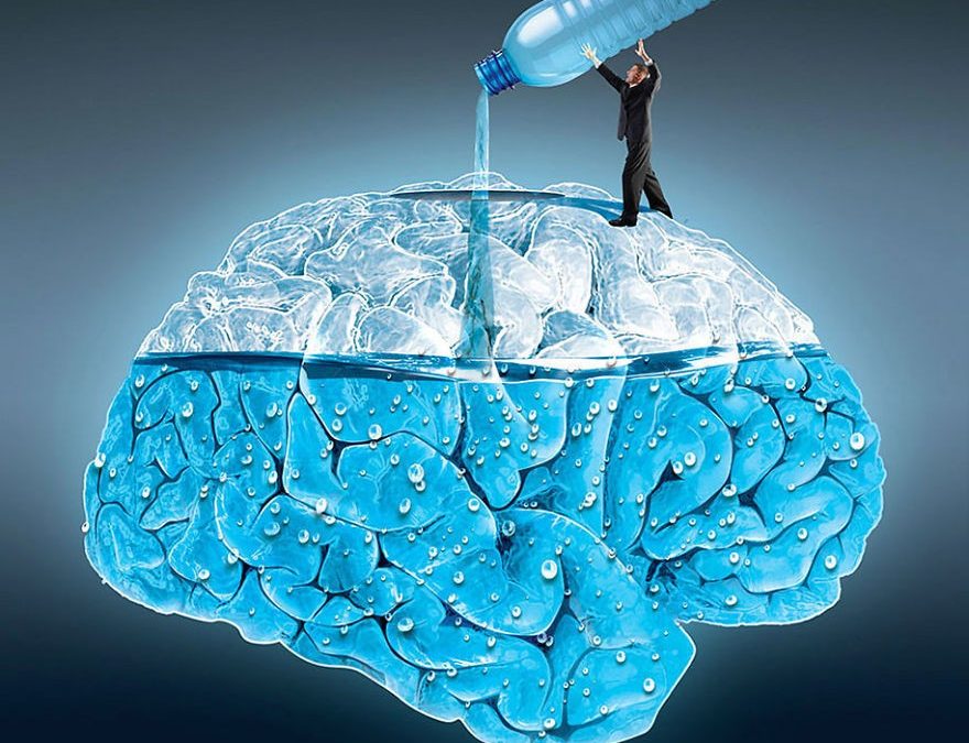 Besoins physiologiques : les bienfaits de l’eau sur les apprentissages et la gestion du stress !