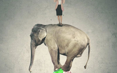 Adulte HPI : quel accompagnement choisir — psy, coach… ou les deux ?